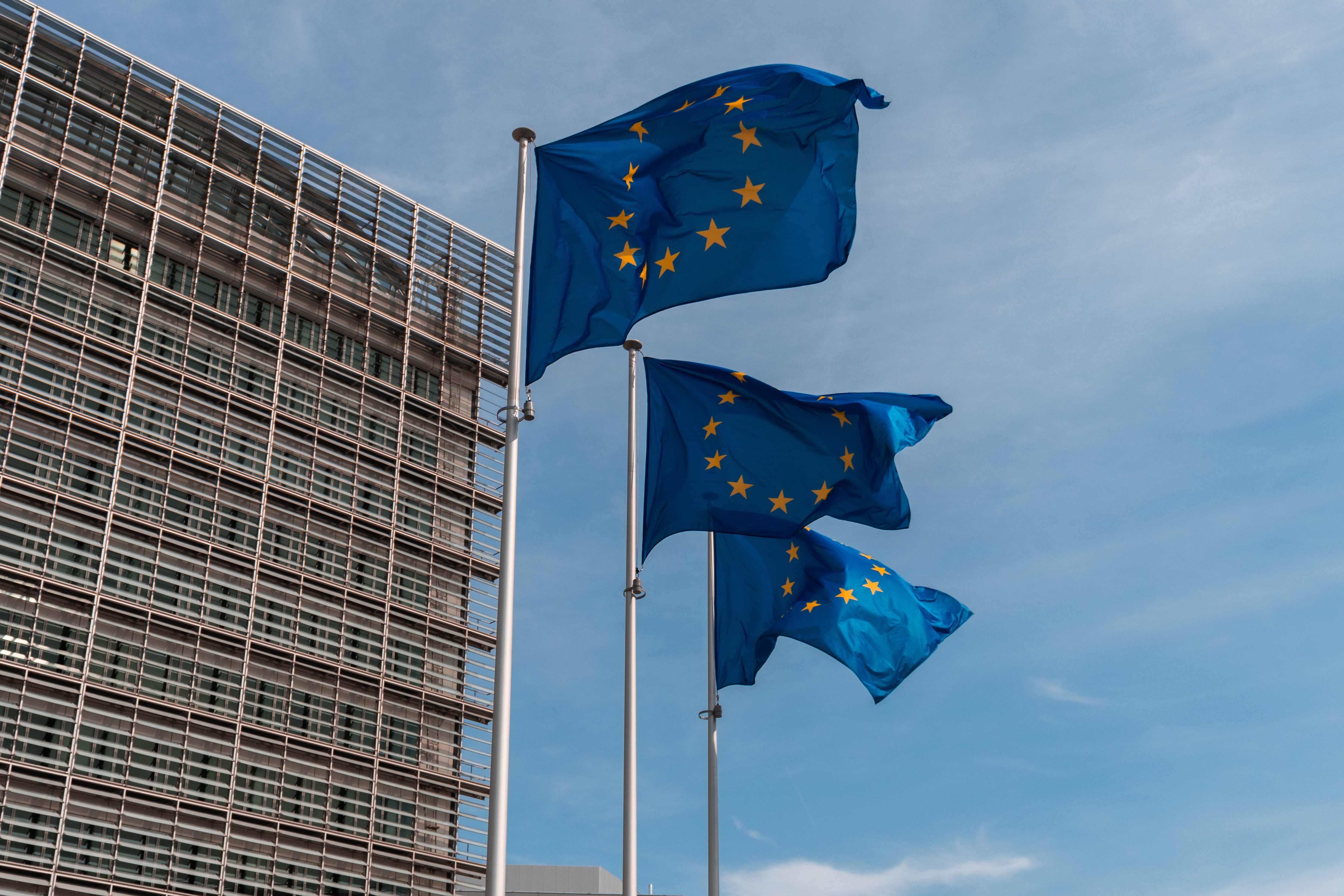 Brussels EU flags